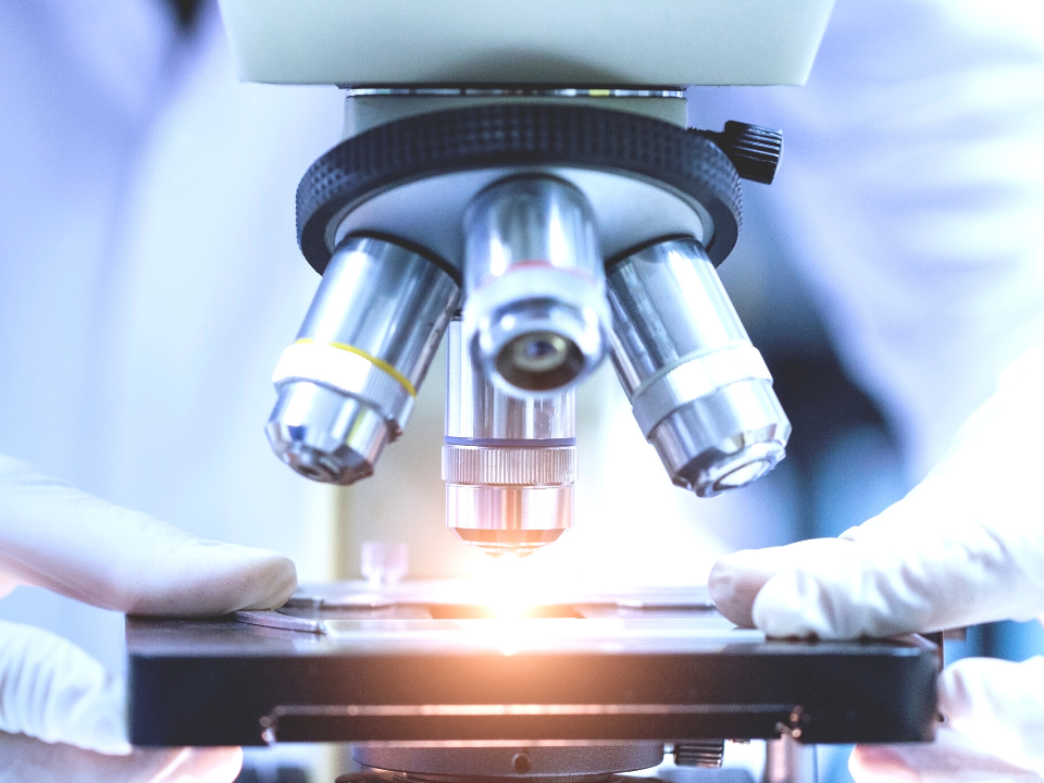 Close nas objetivas do microscópio, com luvas brancas ajustando a lâmina